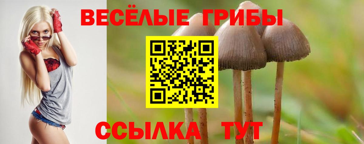 Галлюциногенные грибы мухоморы Новый Уренгой