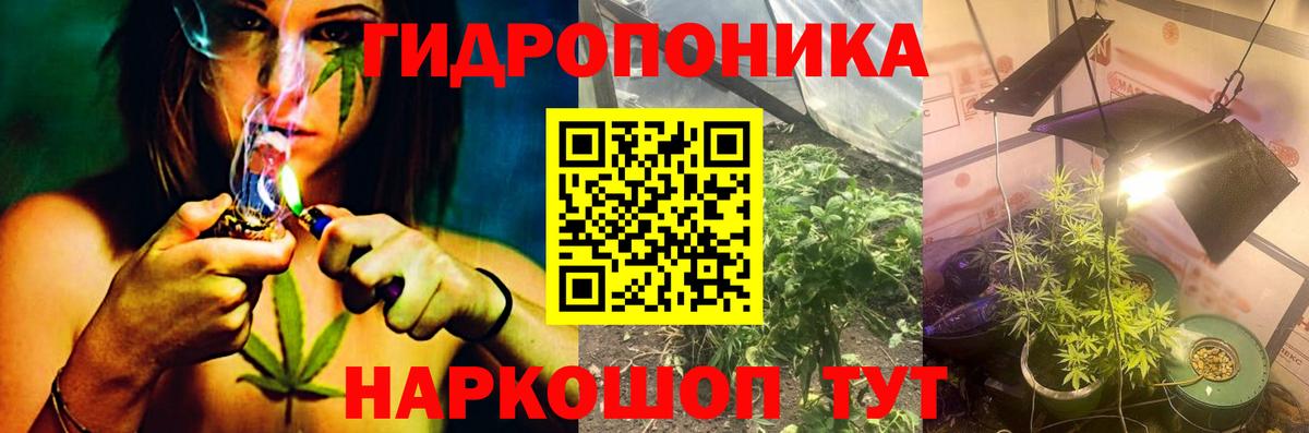 Бошки Шишки семена  Вход с VPN  Новый Уренгой  Бошки марихуана сатива  Канабис OG Kush  Бошки Шишки марихуана 